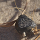 Meteorite fragment